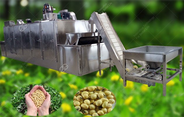 Soybean Roasting|Roaster Machine Belt Type Factory Price