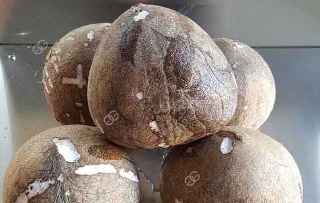 cokernut