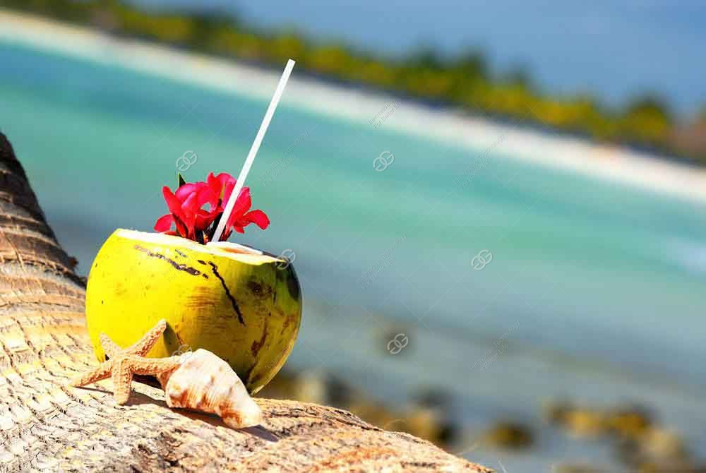 coconut