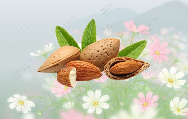 How to remove almond shell quickly?