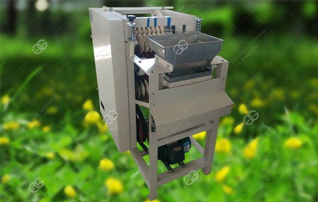 Broad Bean Peeling Machine|Broad Bean Skin Removing Machine Price