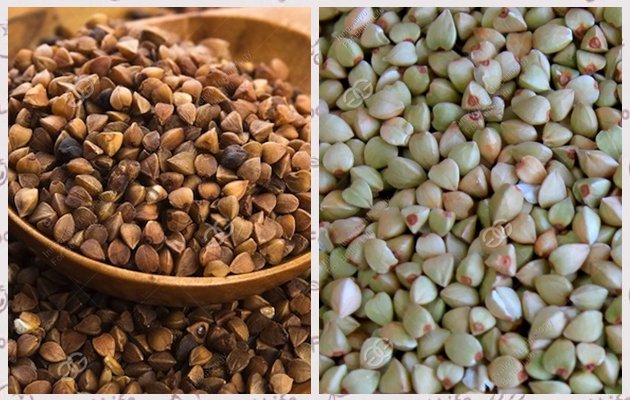 Buckwheat