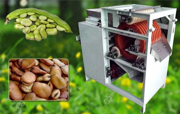 Broad Bean Slitting Machine With Stainless Steel 