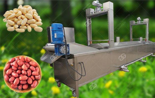 Peanut Washing And Blanching Machine|Peanut Blancher Equipment