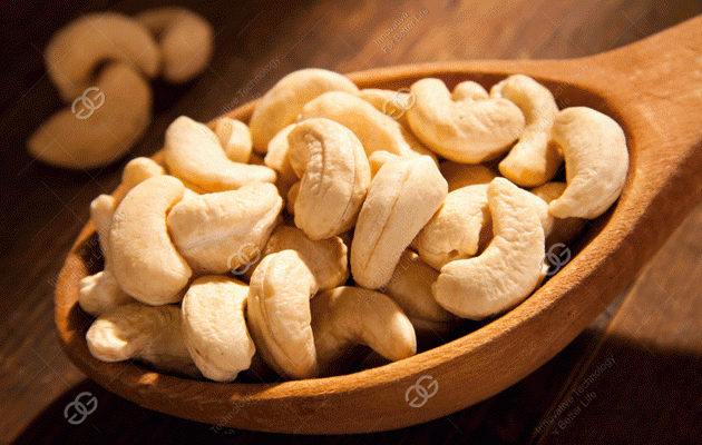 Cashew Nut Roasting Machine Price In Nigeria
