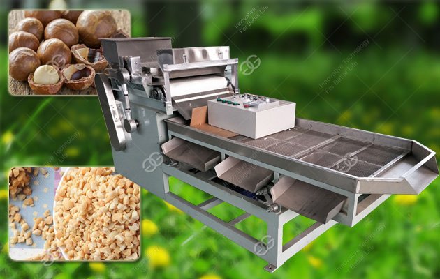 Macadamia Nut Chopping Cutter|Macadamia Nut Chopper Grading Machine