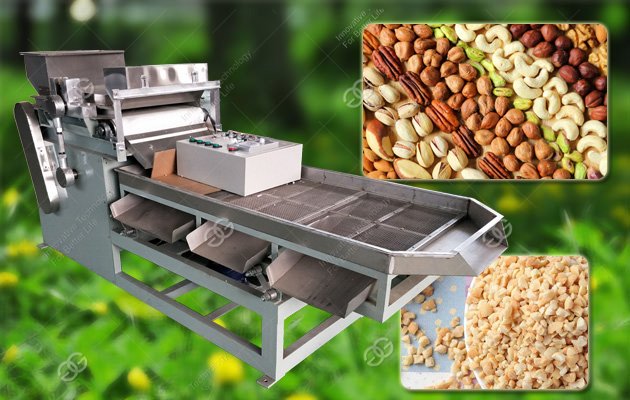 Peanut Granule Cutter Machine|Walnut Particle Cutting Machine