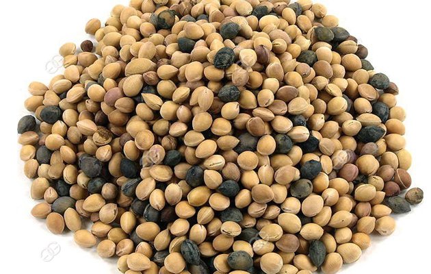 Cherry Seed