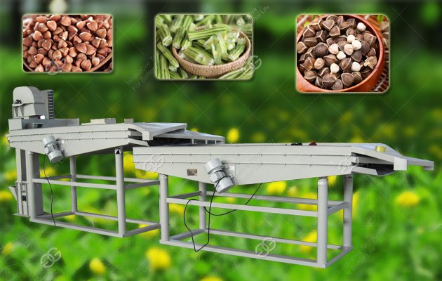 Moringa Seeds Shelling Machine Manufacturer