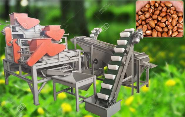 Automatic Moroccan Nuts Shelling Production Line|Argan Nut Cracker