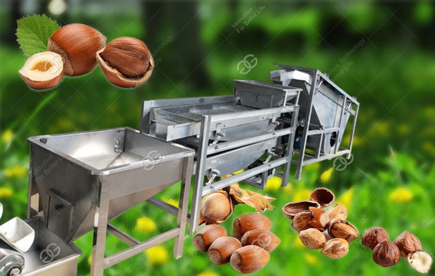 Commercial Hazelnut Shelling Roasting Production Line