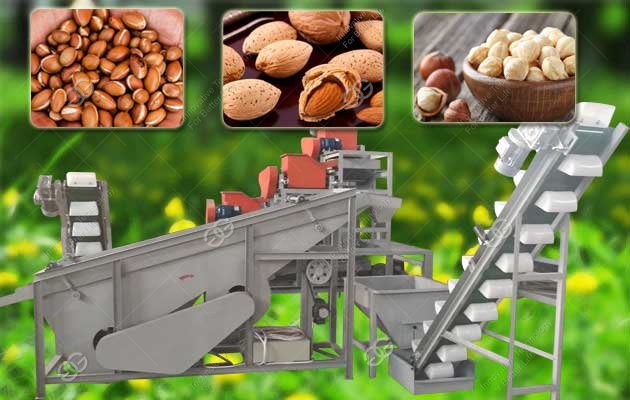 Morocco Argan Nut Shelling Machine