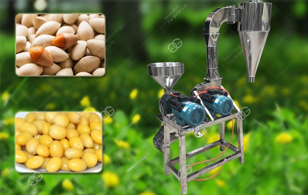 Ginkgo Shelling Machine Price