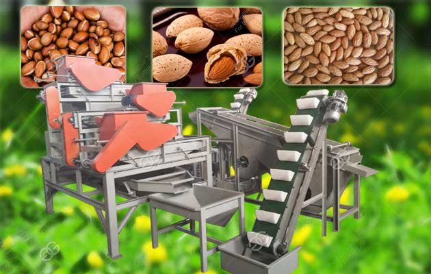 Moroccan Argan Nut Shelling Machine