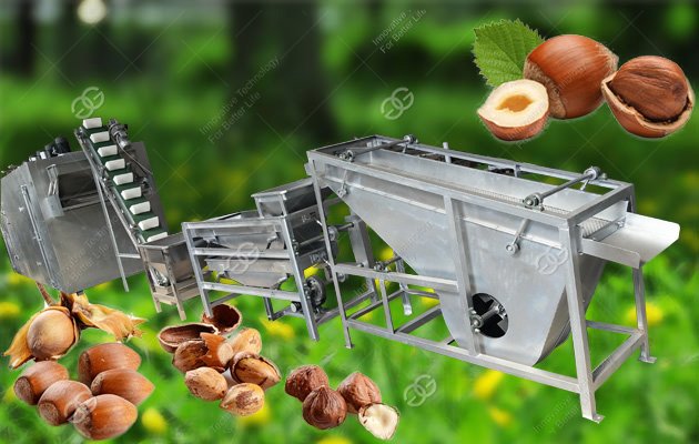 Palm Nut Shelling Processing Line